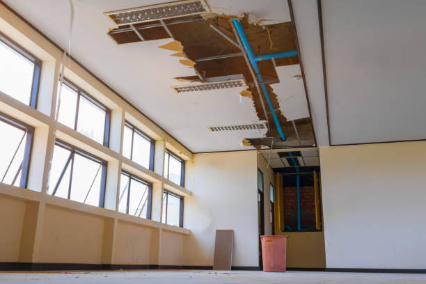 Best Water damage restoration services  in Hollywood, SC
