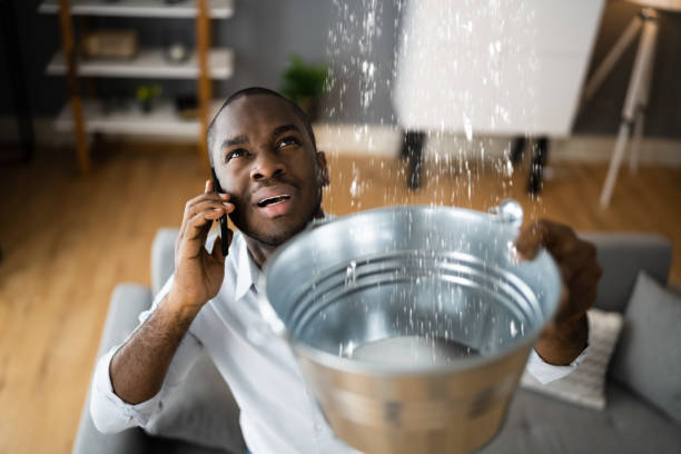 Best Sewage cleanup and water damage restoration  in Hollywood, SC