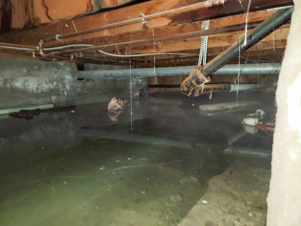 Best Flood damage cleanup  in Hollywood, SC