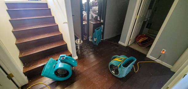 Best Water damage contractors near me  in Hollywood, SC