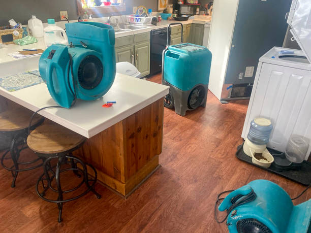 Best Water damage restoration near me  in Hollywood, SC