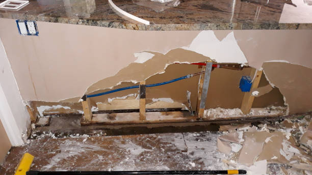 Best Professional water damage repair  in Hollywood, SC