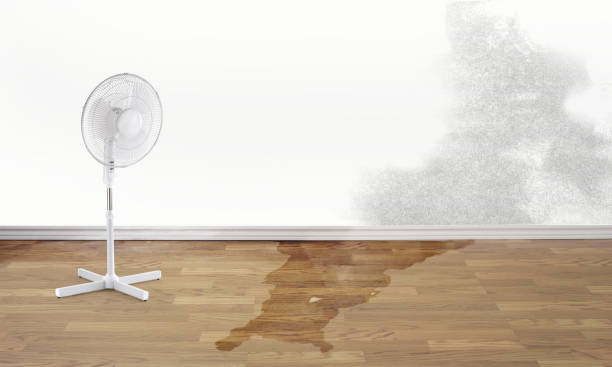 Best Flooded house restoration  in Hollywood, SC