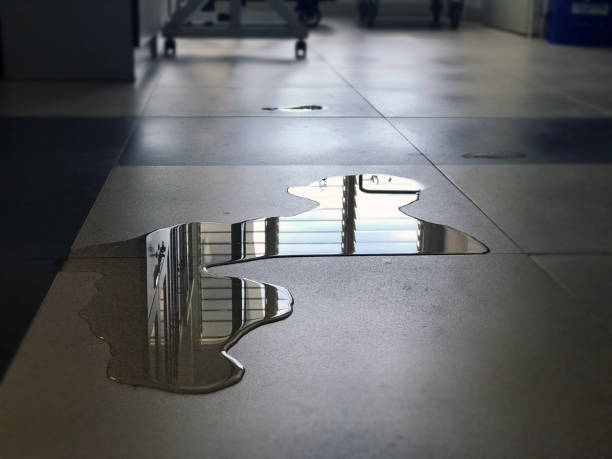 Best Water damage restoration specialists  in Hollywood, SC