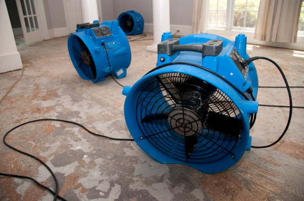 Best Water damage restoration process  in Hollywood, SC