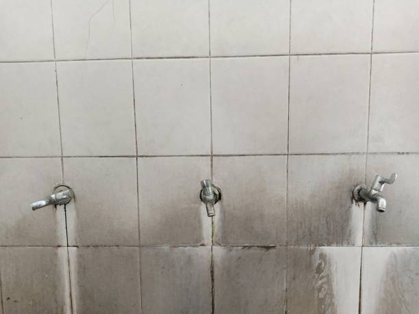 Best Mold removal after water damage  in Hollywood, SC