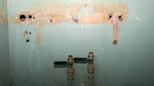 Best Emergency water damage restoration  in Hollywood, SC